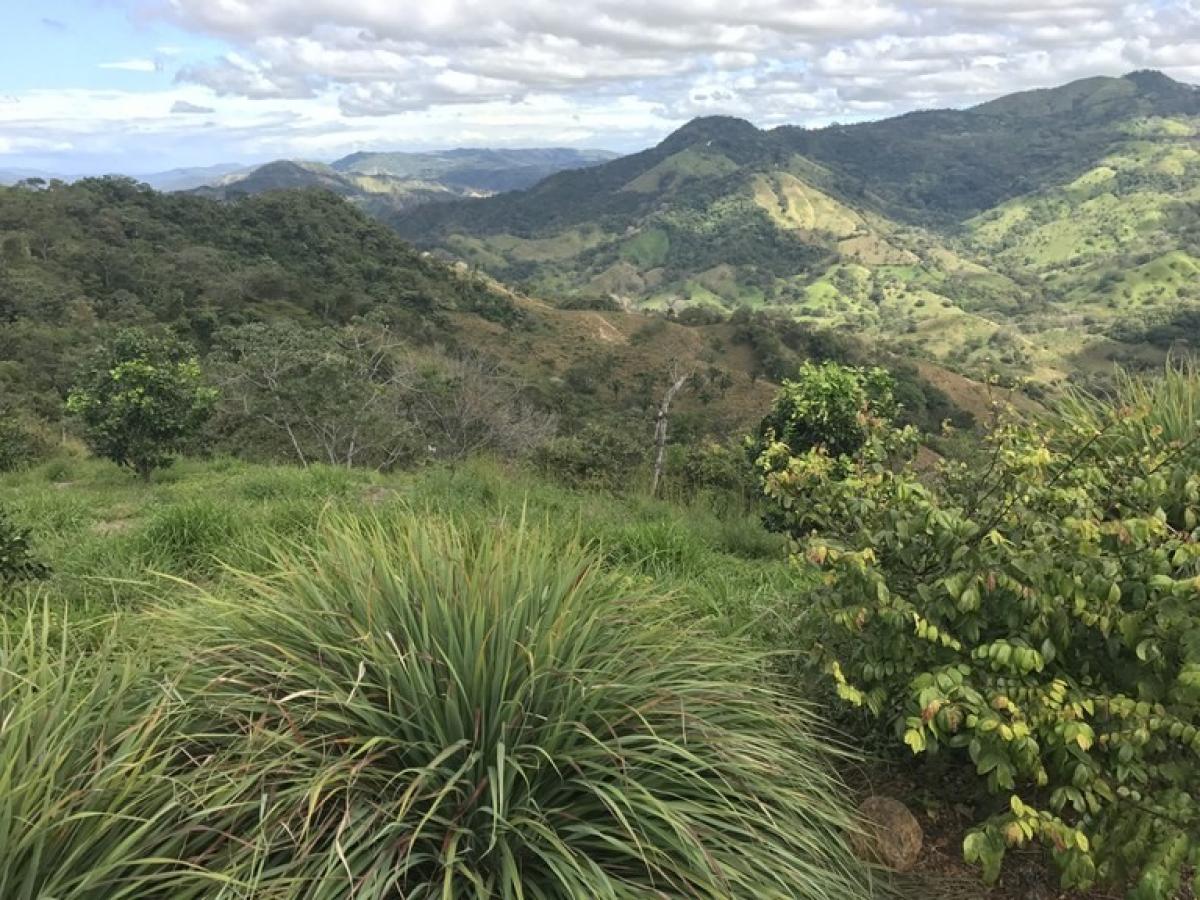 Picture of Residential Land For Sale in Nicoya, Guanacaste, Costa Rica