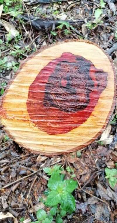 Residential Land For Sale in La Cruz, Costa Rica