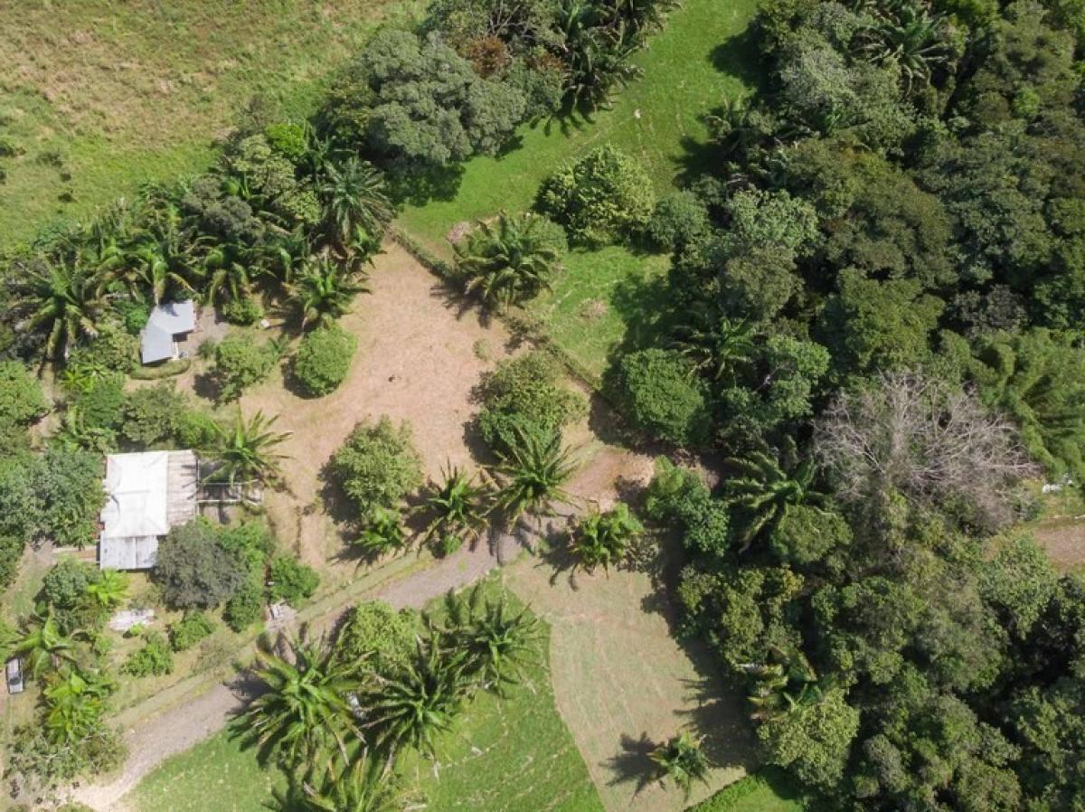 Picture of Residential Land For Sale in Puntarenas, Puntarenas, Costa Rica