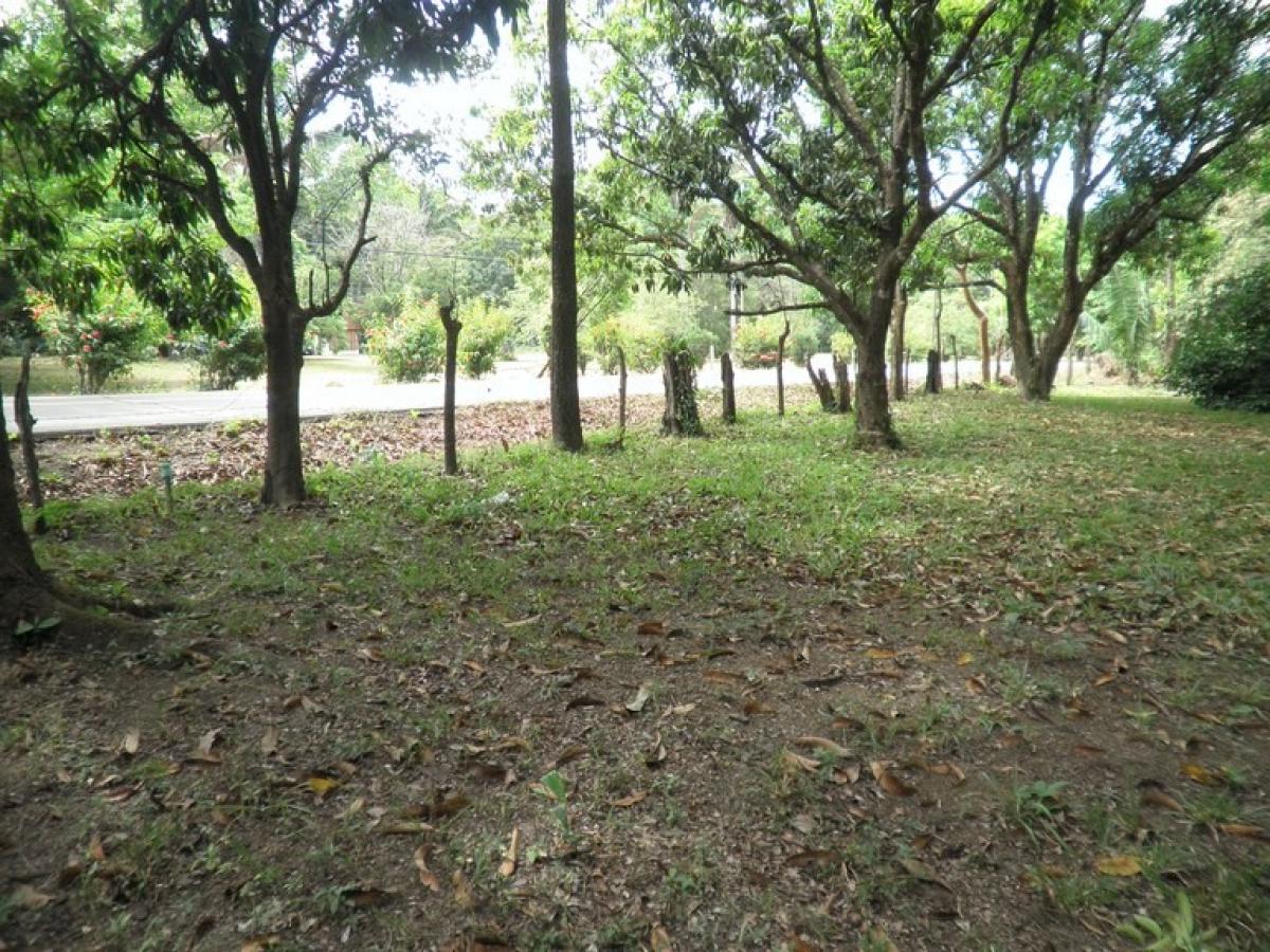 Picture of Residential Land For Sale in Nicoya, Guanacaste, Costa Rica