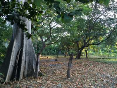 Residential Land For Sale in Carrillo, Costa Rica