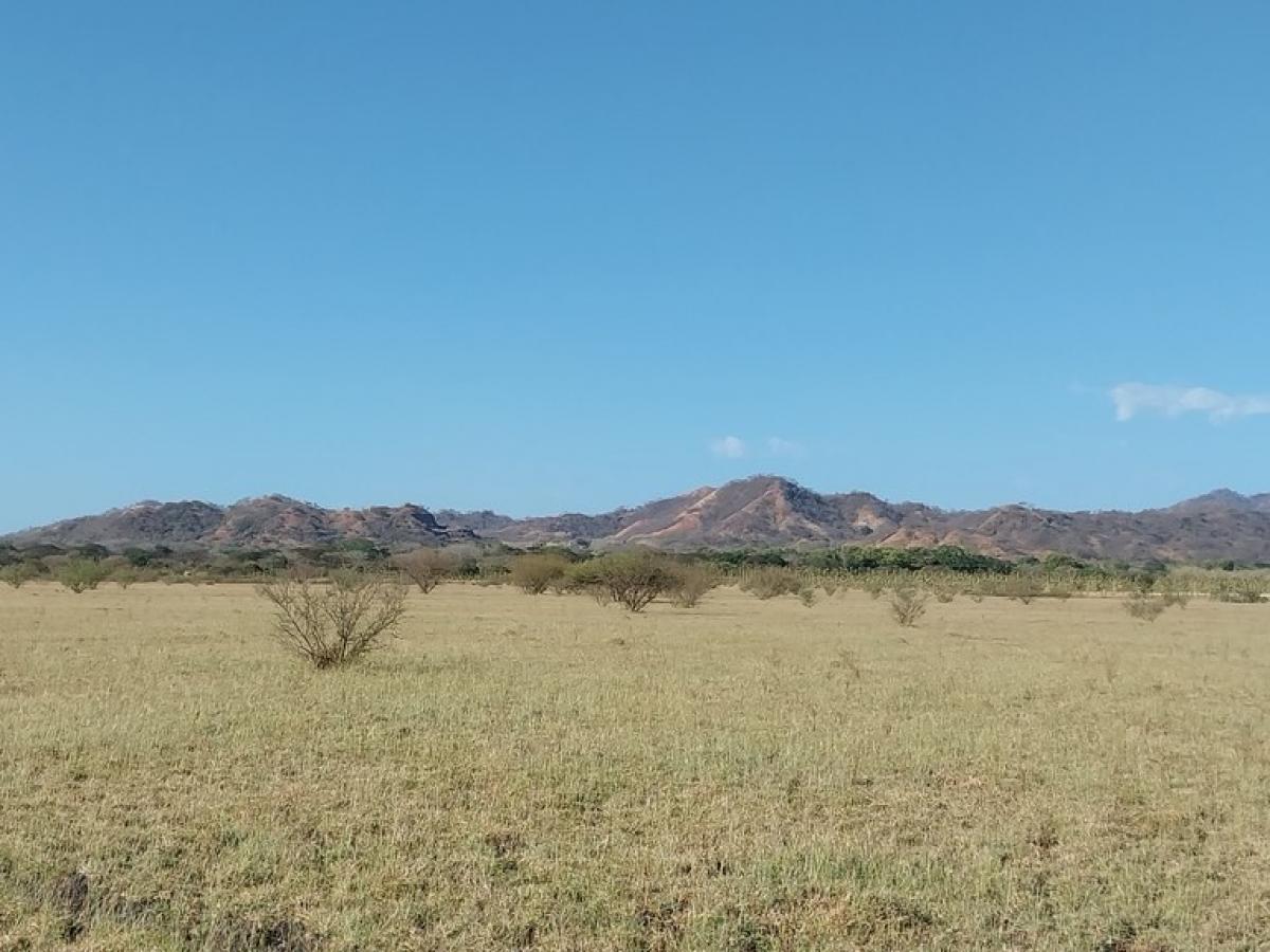 Picture of Residential Land For Sale in Carrillo, Guanacaste, Costa Rica