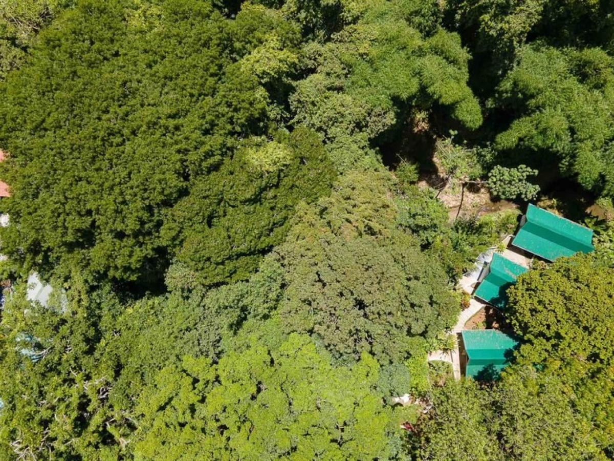 Picture of Home For Sale in Aguirre, Puntarenas, Costa Rica