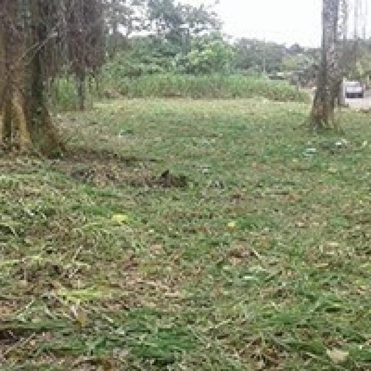 Picture of Residential Land For Sale in Pococi, Limon, Costa Rica