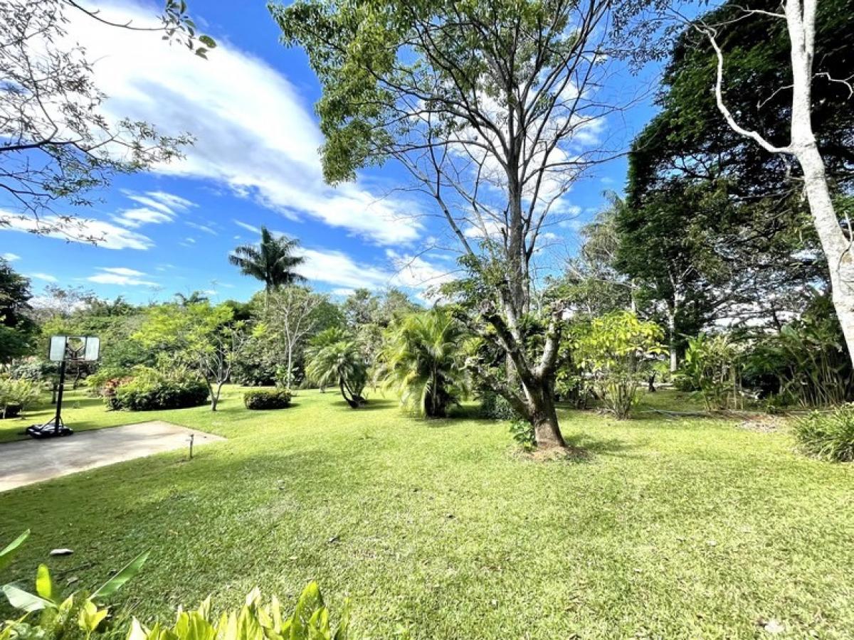 Picture of Home For Sale in Alajuela, Alajuela, Costa Rica