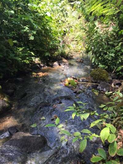 Residential Land For Sale in Upala, Costa Rica