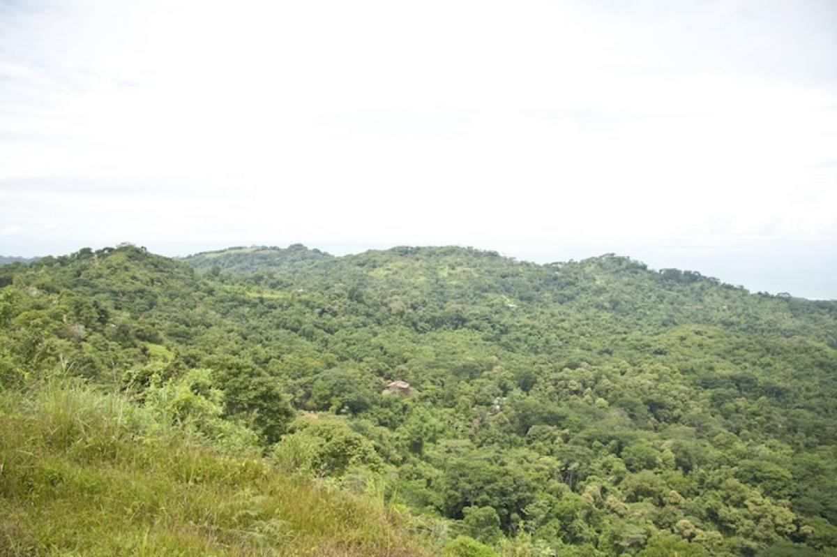 Picture of Residential Land For Sale in Perez Zeledon, San Jose, Costa Rica