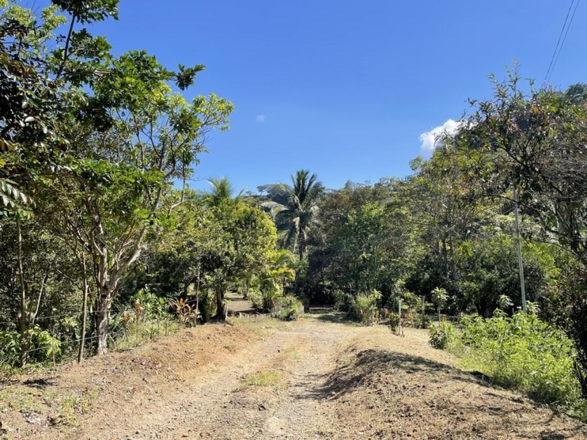 Picture of Residential Land For Sale in Mora, San Jose, Costa Rica