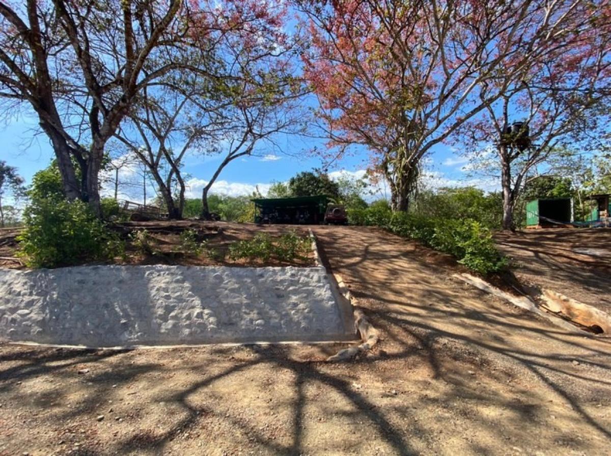 Picture of Residential Land For Sale in Puntarenas, Puntarenas, Costa Rica