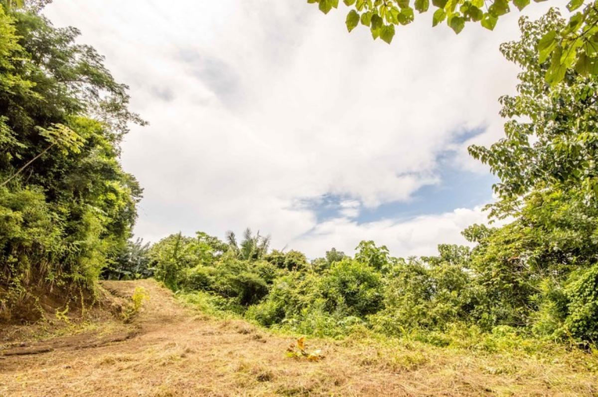 Picture of Residential Land For Sale in Nicoya, Guanacaste, Costa Rica