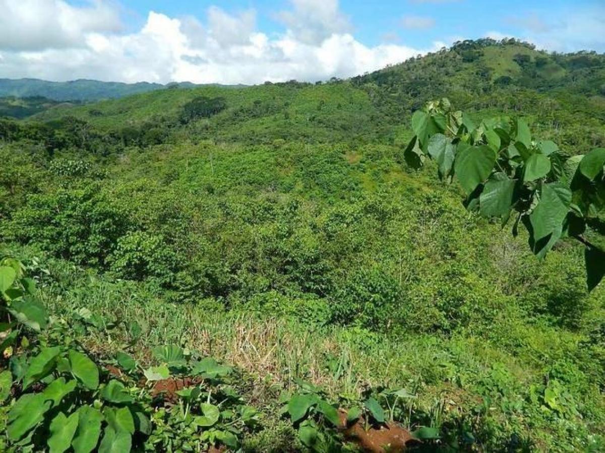 Picture of Residential Land For Sale in Turrubares, San Jose, Costa Rica