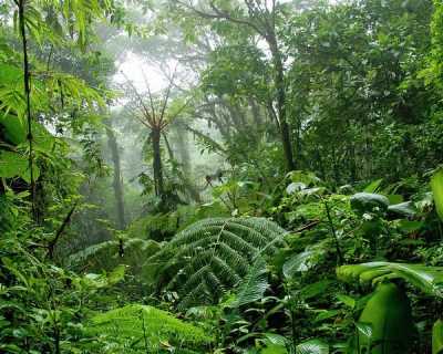 Residential Land For Sale in Guatuso, Costa Rica