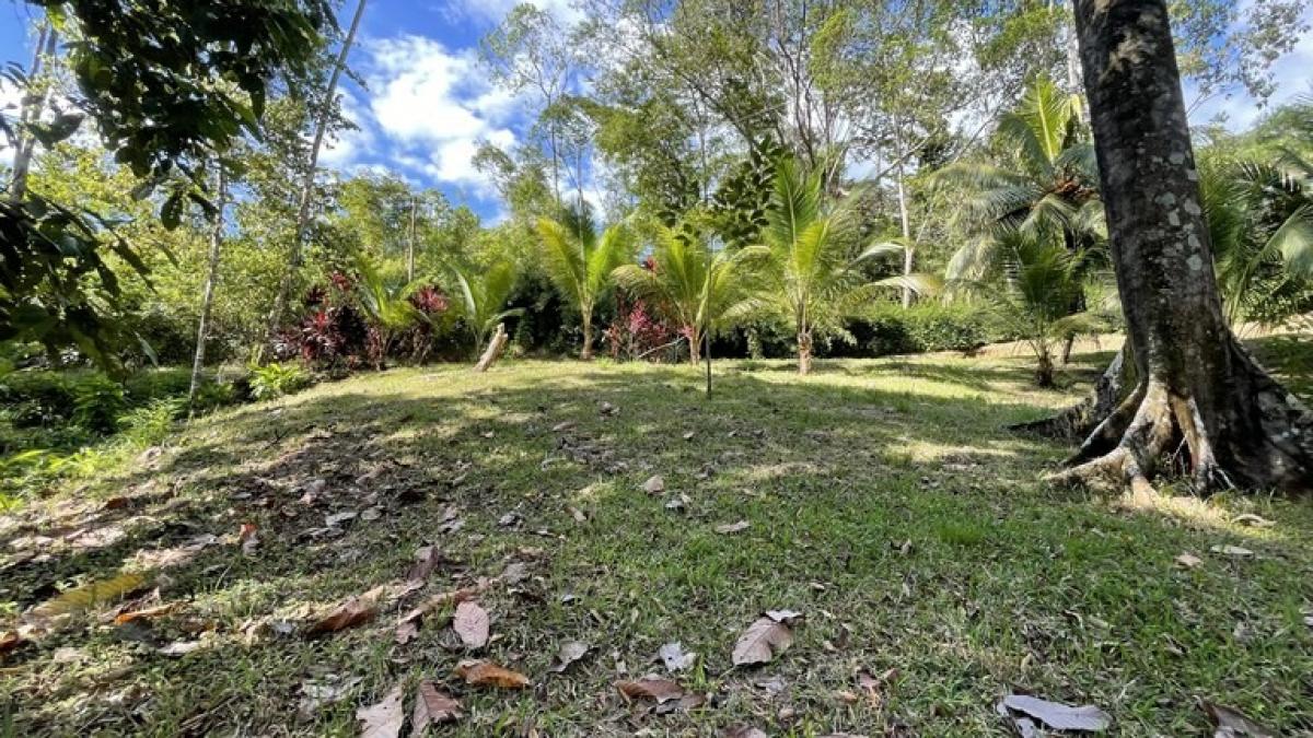 Picture of Residential Land For Sale in Osa, Puntarenas, Costa Rica