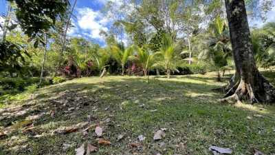 Residential Land For Sale in 
