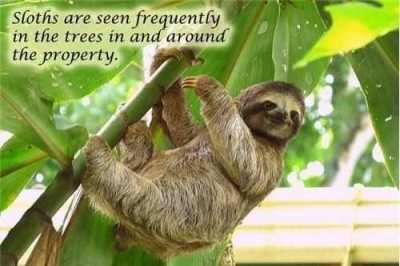 Residential Land For Sale in Limon, Costa Rica