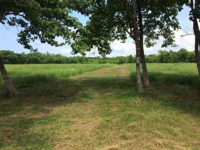 Residential Land For Sale in Liberia, Costa Rica