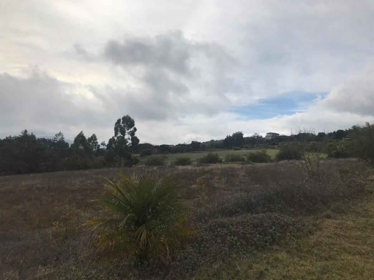 Picture of Residential Land For Sale in Cartago, Cartago, Costa Rica