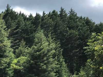 Residential Land For Sale in Dota, Costa Rica