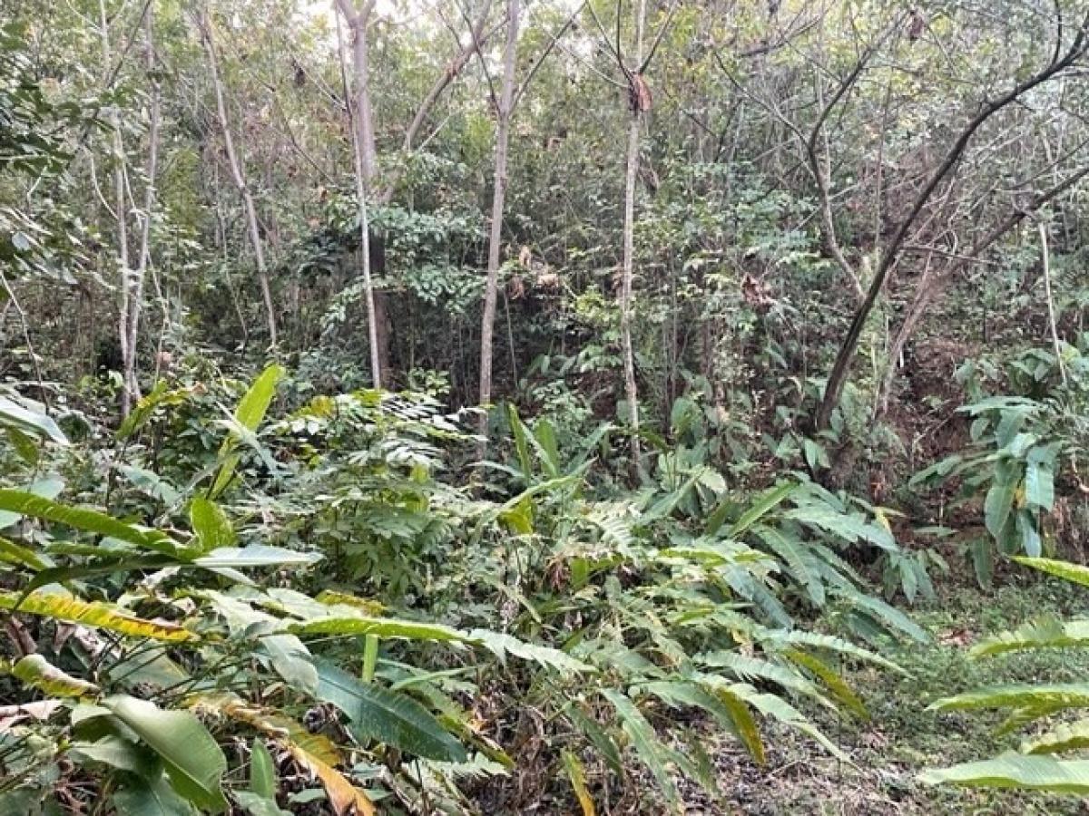 Picture of Residential Land For Sale in Nicoya, Guanacaste, Costa Rica