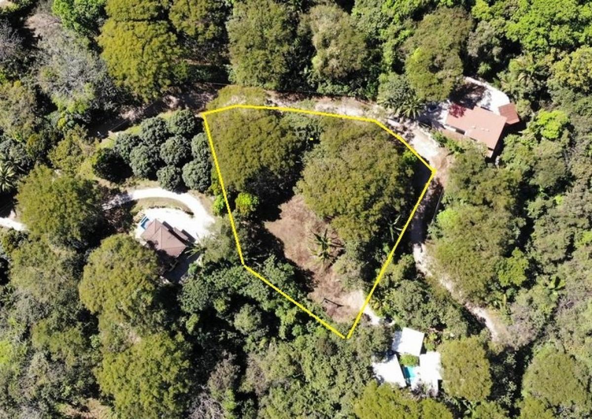 Picture of Residential Land For Sale in Nicoya, Guanacaste, Costa Rica