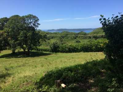 Residential Land For Sale in Carrillo, Costa Rica