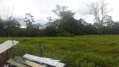 Residential Land For Sale in Pococi, Costa Rica