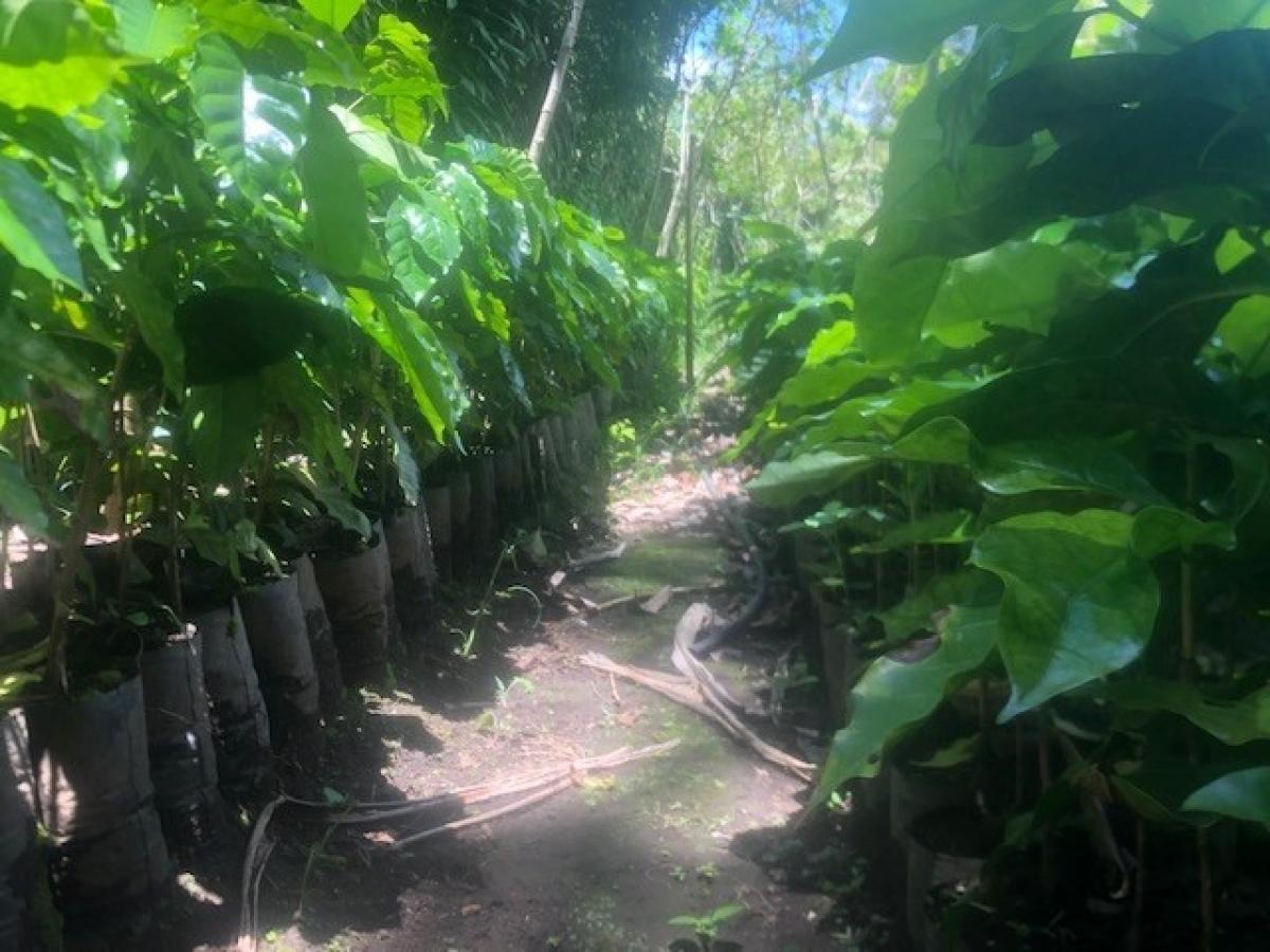 Picture of Home For Sale in Tilaran, Guanacaste, Costa Rica