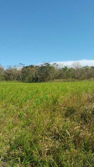 Residential Land For Sale in La Cruz, Costa Rica