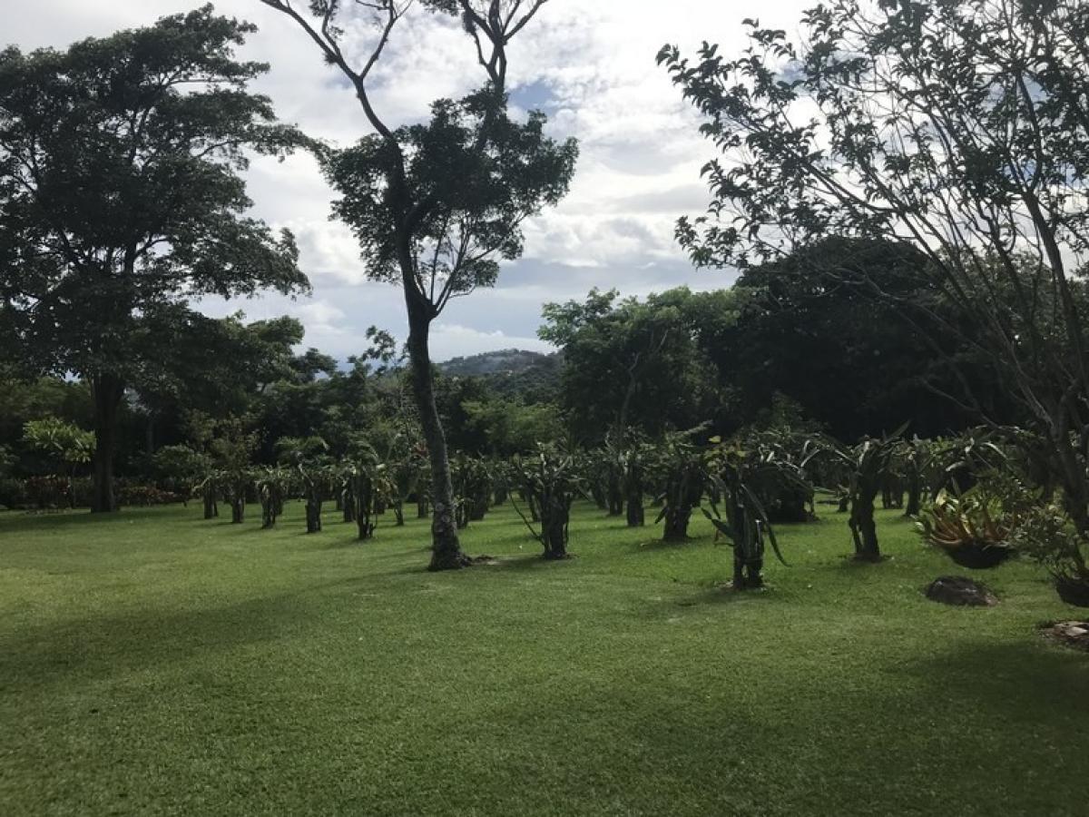 Picture of Home For Sale in Santa Ana, San Jose, Costa Rica