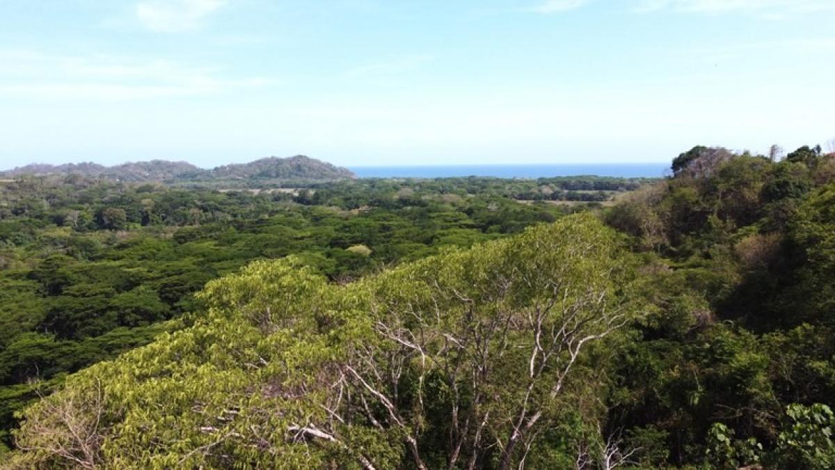 Picture of Residential Land For Sale in Nicoya, Guanacaste, Costa Rica
