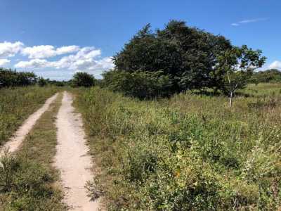 Residential Land For Sale in Liberia, Costa Rica