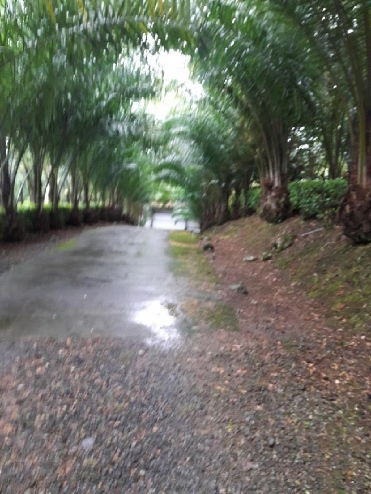 Picture of Residential Land For Sale in Grecia, Alajuela, Costa Rica