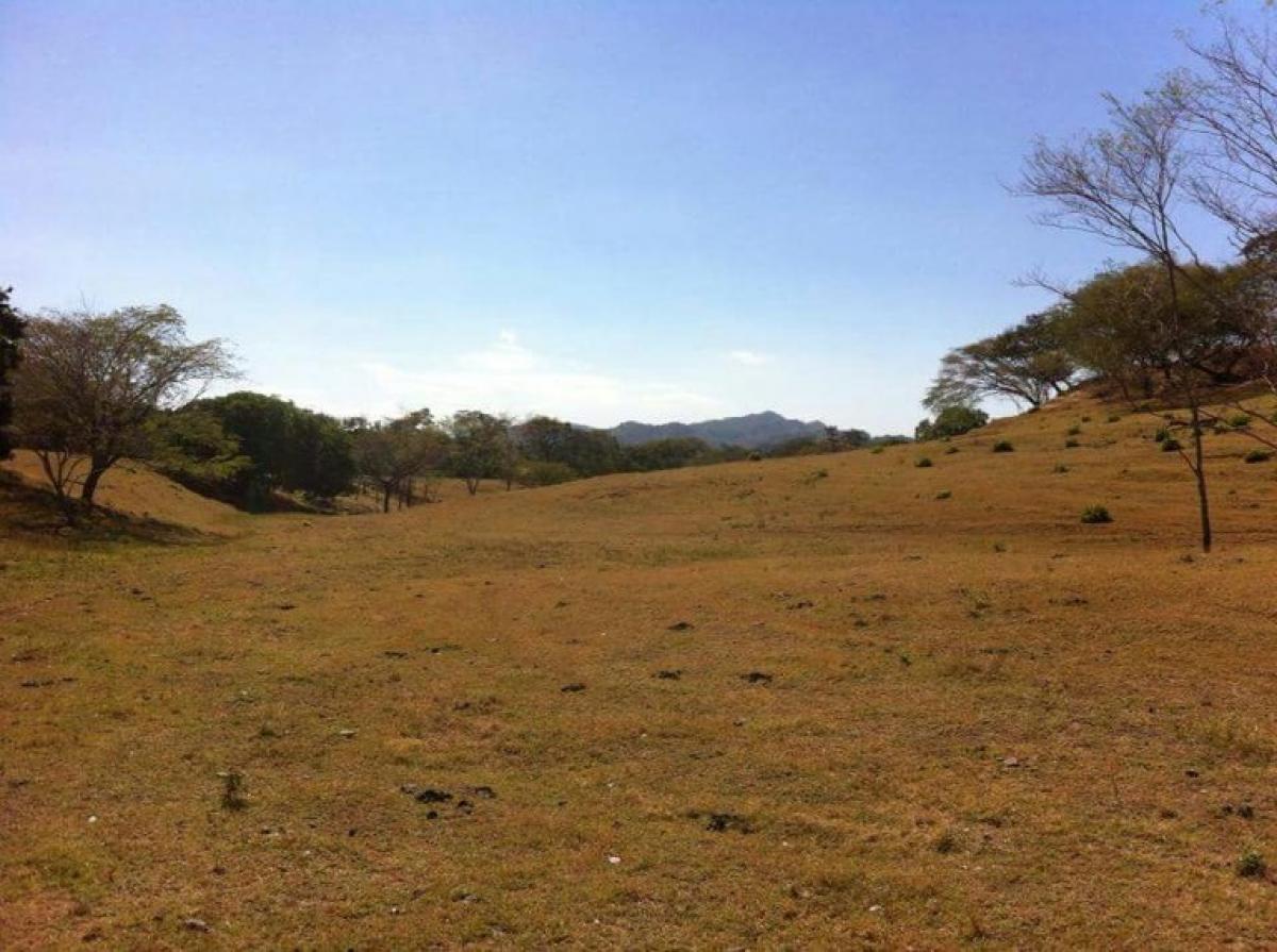 Picture of Residential Land For Sale in Santa Cruz, Guanacaste, Costa Rica