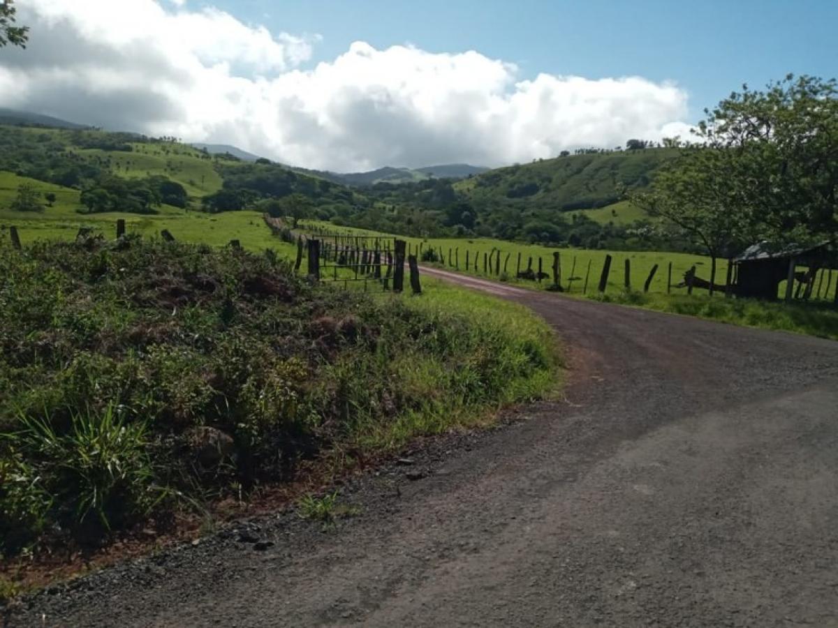 Picture of Residential Land For Sale in Canas, Guanacaste, Costa Rica