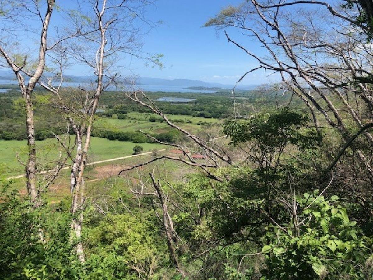 Picture of Residential Land For Sale in Abangares, Guanacaste, Costa Rica