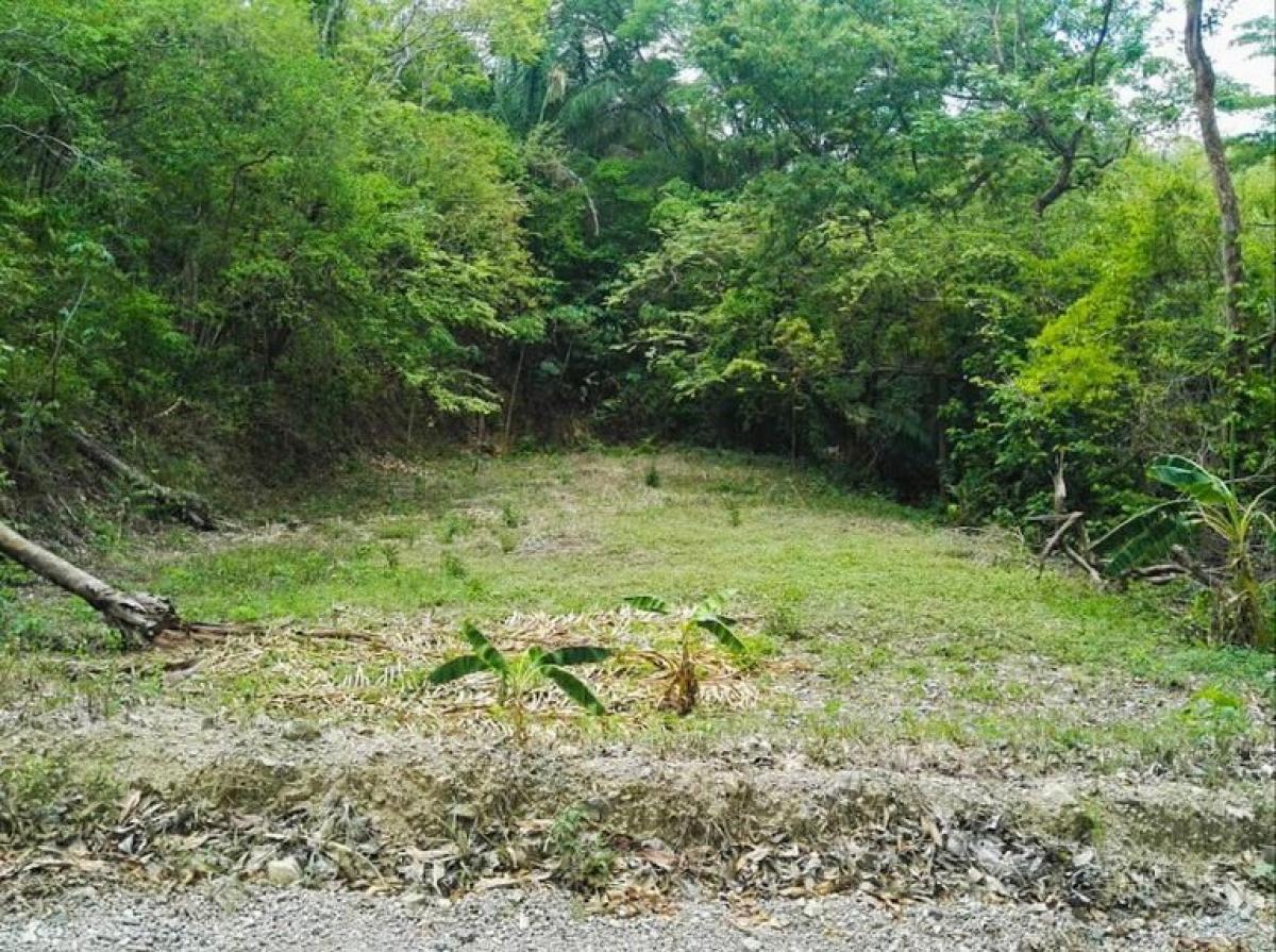 Picture of Residential Land For Sale in Nicoya, Guanacaste, Costa Rica