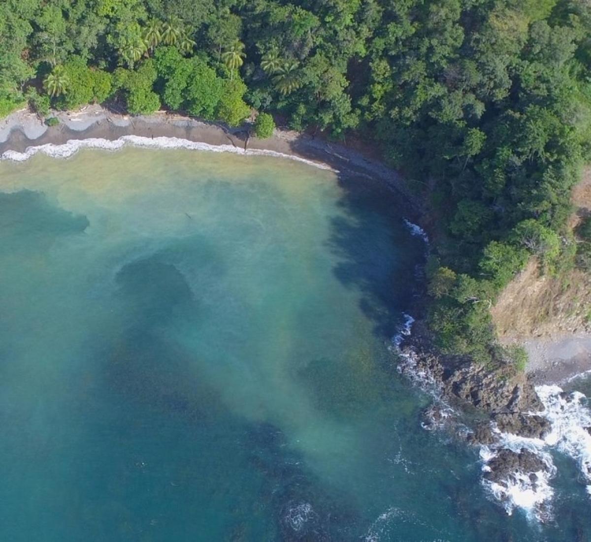 Picture of Condo For Sale in Garabito, Puntarenas, Costa Rica