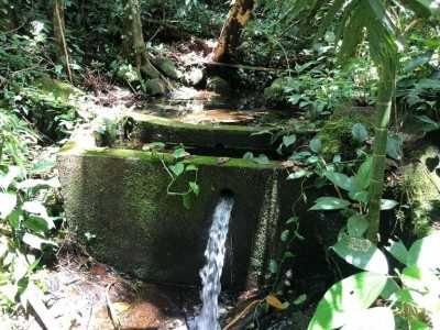 Home For Sale in Upala, Costa Rica