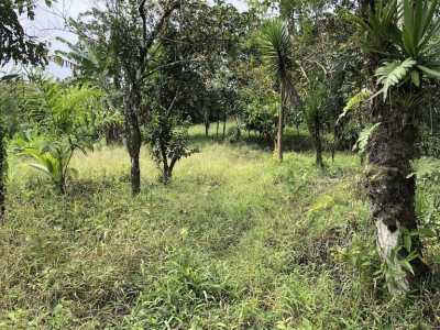 Residential Land For Sale in Siquirres, Costa Rica