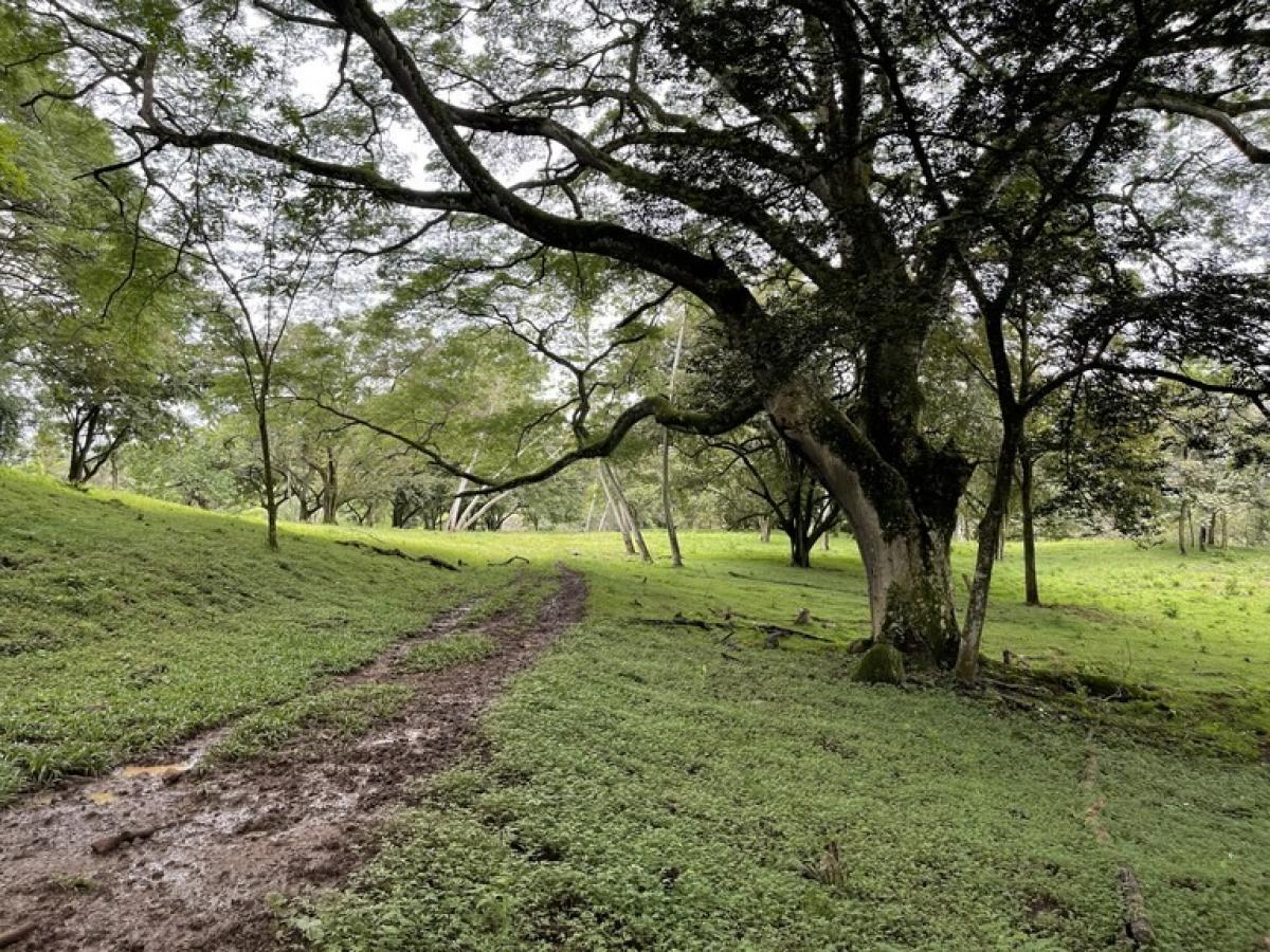 Picture of Residential Land For Sale in Alajuela, Alajuela, Costa Rica