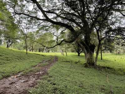 Residential Land For Sale in Alajuela, Costa Rica
