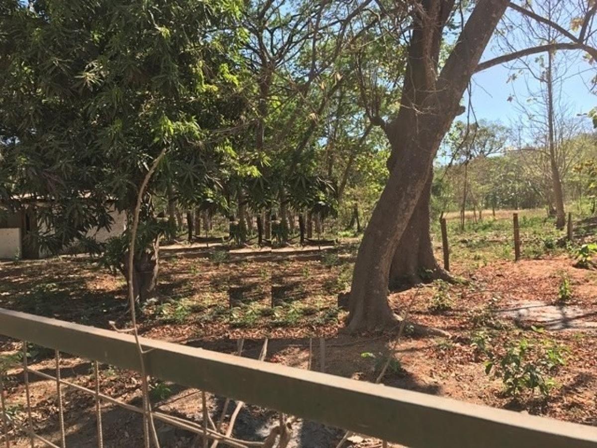 Picture of Residential Land For Sale in Santa Cruz, Guanacaste, Costa Rica
