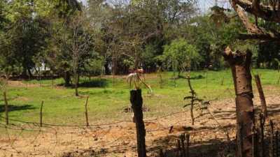 Residential Land For Sale in