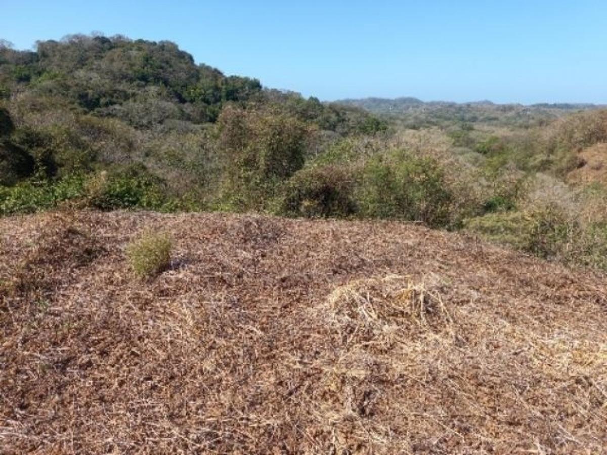 Picture of Residential Land For Sale in Nicoya, Guanacaste, Costa Rica