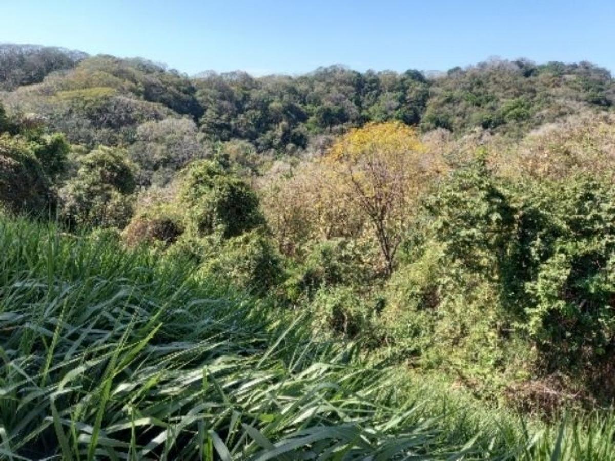 Picture of Residential Land For Sale in Nicoya, Guanacaste, Costa Rica