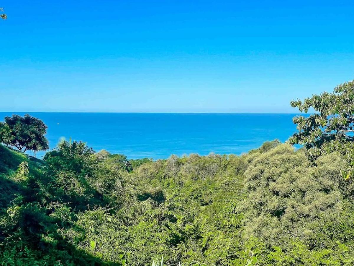 Picture of Residential Land For Sale in Puntarenas, Puntarenas, Costa Rica