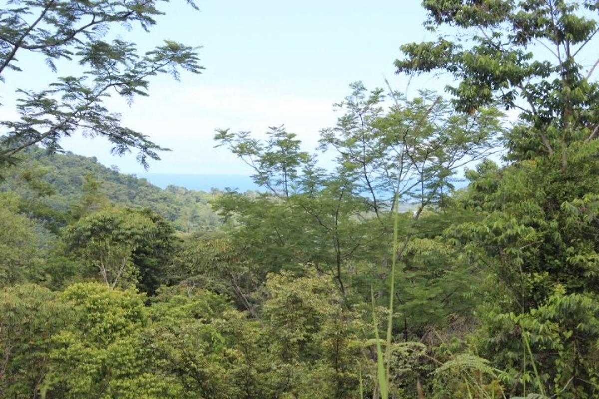 Picture of Residential Land For Sale in Osa, Puntarenas, Costa Rica