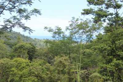 Residential Land For Sale in Osa, Costa Rica