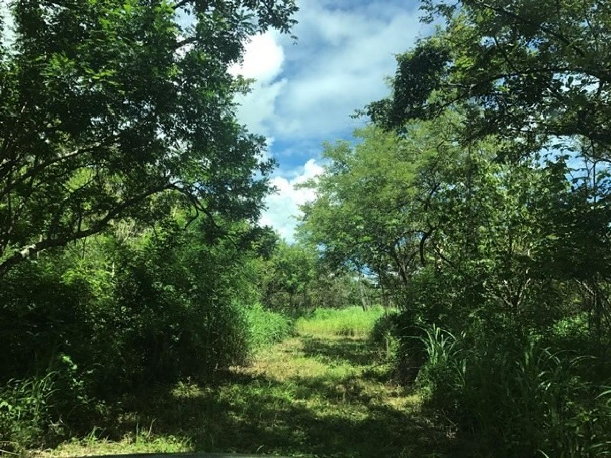 Picture of Residential Land For Sale in Liberia, Guanacaste, Costa Rica