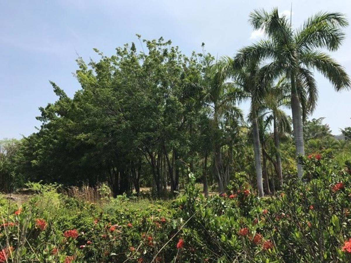 Picture of Residential Land For Sale in Santa Cruz, Guanacaste, Costa Rica